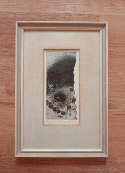 Obraz Eva Haškova 1981