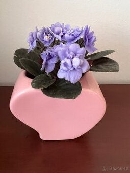 Mini fialka v keramickém květináči