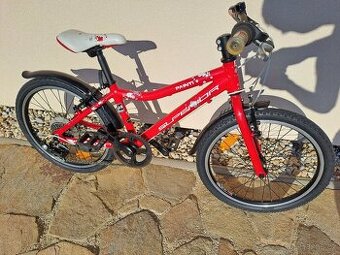 Superior Paint 20"