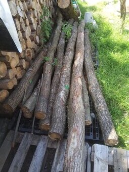 Dubové kůly na houpačku