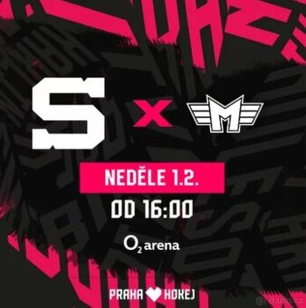 HC SPARTA PRAHA-MOTOR ČESKÉ BUDĚJOVICE, VIP KLUBOVÉ PATRO