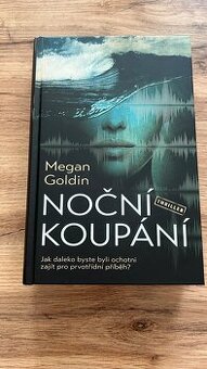 Noční koupání / Megan Goldin