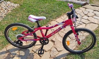 Superior Paint 20" - TOP STAV