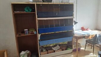 Skříň pro chov morčat