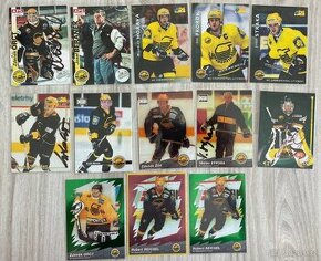 Hokejové kartičky HC Chemopetrol Litvínov