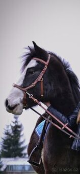 Bezudidlová uzdečka horse4u