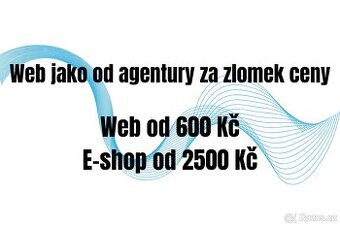 Webové stránky nebo e-shop od 600 Kč