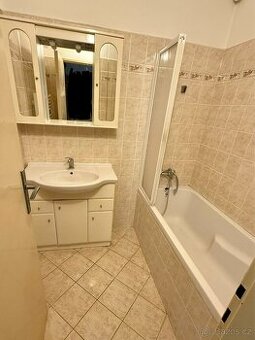 Umyvadlo se skříňkou, zrcadlo, žebřík. WC + závěsný modul