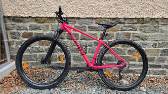 REZERVACE - Specialized Rockhopper Comp 29, pink/black, 2019