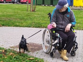 Mirek