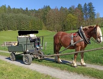 Vozík za koně