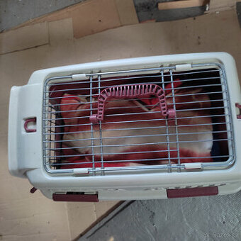 Přepravka na kočky + klece