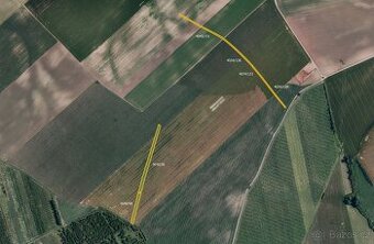 Zemědělská půda, prodej, Čejkovice, Znojmo