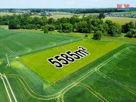 Prodej pole, 5585 m², Sedliště