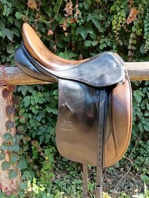 Stubben maestoso - 1