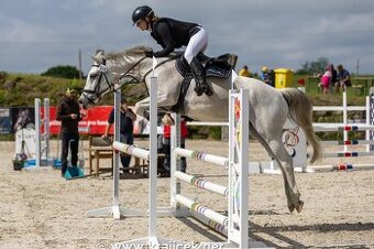 PONY TYP B NA PRODEJ