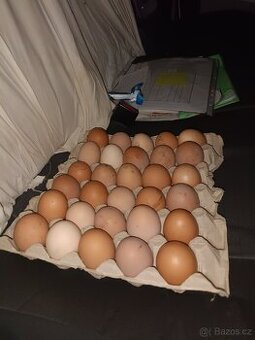 Domácí vajíčka