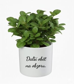 Květináč s nápisem viz. foto