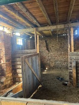 PRONÁJEM STÁJE PRO KONĚ - 1