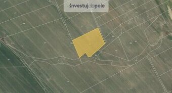 Prodej pole v k.ú. Běstvina - 1