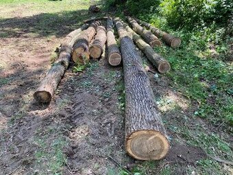 Dubová a třešňová kulatina, špalek na štípání - 1