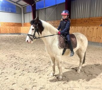 Pony