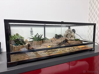 Kompletní terárium ReptiPlanet – plně vybavené
