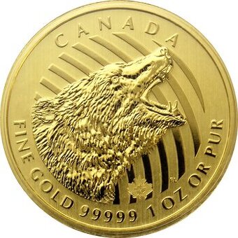 Mince zlatá 1Oz - 1