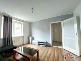 Prodej, byty/1+1, 36 m2, Horská 303, Chudeřín, 43603 Litvíno