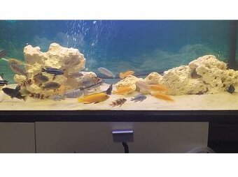 Akvarium 120-40-50