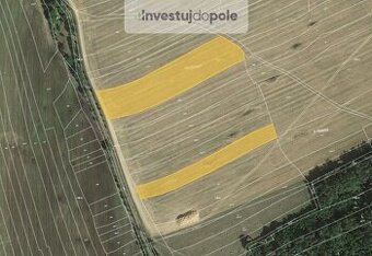 Prodej pole v k.ú. Hříchovice - 1