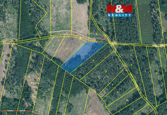 Prodej lesa, 15115 m², Jetětice