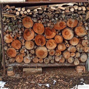 Prodám cca 5 kubíku vyschlého palivového dřeva