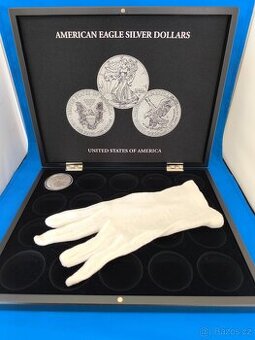 American Eagle 1 oz – investiční sběratelská mince + etue