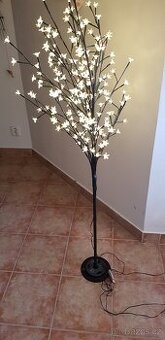 led třešna