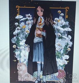 Malování podle čísel - Hermiona, Harry Potter 40x50 cm - 1