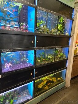 Akvarijní profesionální stojan - 1