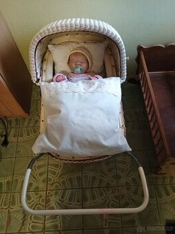 Kosatina na panenku