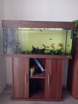 Akvarium