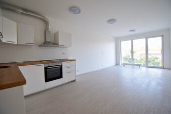 Pronájem bytu 1+kk, Sportovní, Ponava,  15 300 Kč/měs, 35 m2