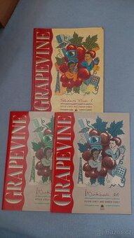 Grapevine 3 - nepouzita