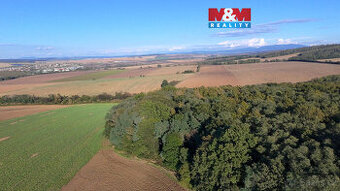 Prodej lesa, 845297 m², Kněždub