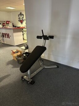 Lavice posilovací TF