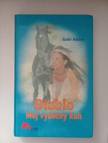 Diablo Můj vysněný kůň