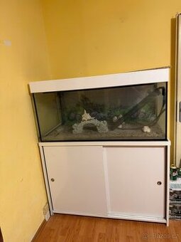 Prodam Akvarium 300 lít Praha 4 modrany