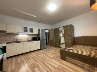 Pronájem bytu 1+kk, Goldscheiderova, Plzeň, Kč/měs, 30 m2