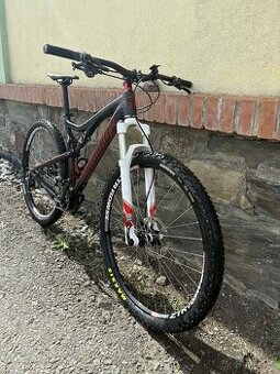 Santa Cruz Tallboy vel. L