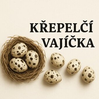 Křepelčí vajíčka