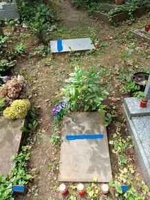 Přenechám dvě hrobová místa