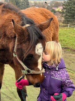 ČT klisnicka k prodeji